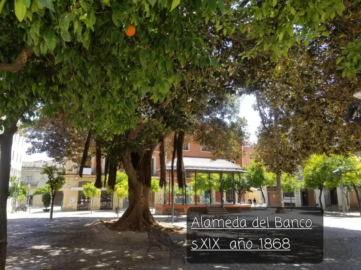 Appartamento Jerez Centro Historico Jerez de la Frontera Esterno foto